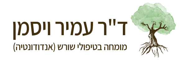 עמיר ויסמן Logo